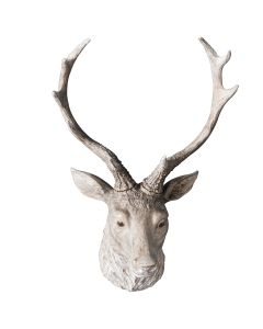 Ambrose Stag Head Weathered 1 17012023204704