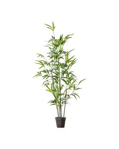 Bamboo with 330 Leaves 1 18012023101827