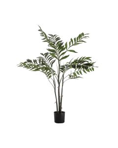 Areca Palm Tree Small 1 18012023125150