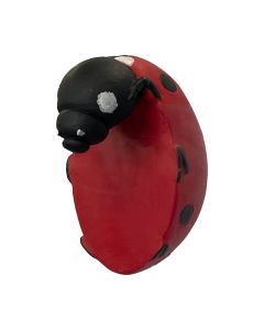 Eve Ladybird Pot Hanger (2pk) 1 17012023185429