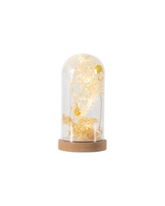 Dry Flora Dome with LED Cream & Yellow 1 31102023110711