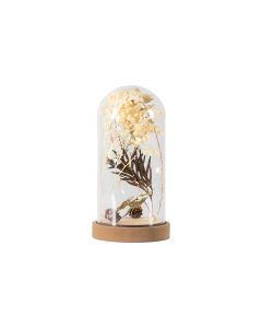 Dry Flora Dome with LED Cream & Green  1 31102023110845