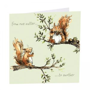 One Nutter Greetings Card 6pk 1 26032025134828