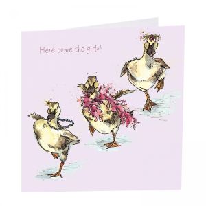 Here Come The Girls Greetings Card 6pk 1 26032025135434