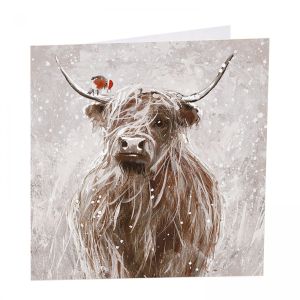 Christmas Mira Coo Christmas Cards 48pk 1 26032025135539