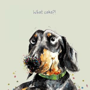 What Cake Greetings Card 6pk 1 26032025134840