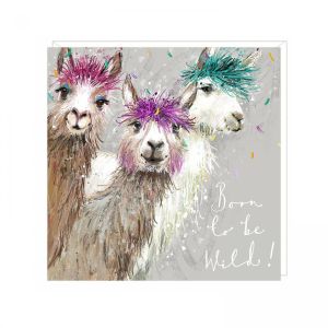 Wild Greetings Card 6pk 1 26032025135137