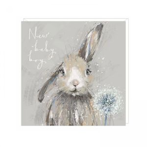 Baby Bunny Boy Greetings Card 6pk 1 26032025135537