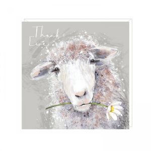 Ewe Thanks Greetings Card 6pk 1 26032025135131