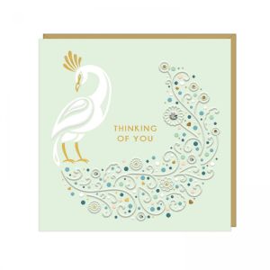 Well Wishes Greetings Card 6pk 1 01042025004432
