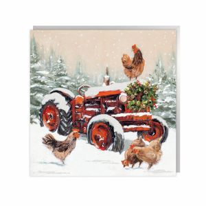 Snowed In Christmas Cards 48pk 1 01042025004239