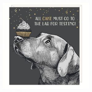 All Cake Greetings Card 6pk 1 27032025004003