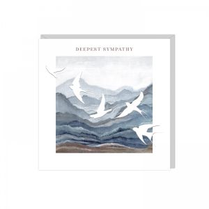 Sympathy Birds Greetings Card 6pk 1 27032025004322