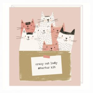 Crazy Cat Lady Greetings Card 6pk 1 27032025004337