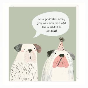 Too Old Greetings Card 6pk 1 27032025004315