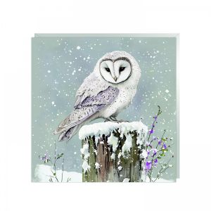 Glimmer Skies Christmas Cards 48pk 1 26032025134334