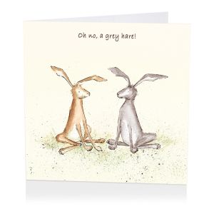 Oh No A Grey Hare Greetings Card 6pk 1 26032025134657