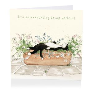 Being Perfect Greetings Card 6pk 1 26032025135807