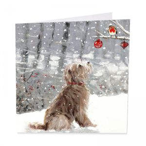 Hello There Christmas Cards 48pk 1 26032025135300