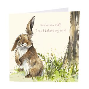 Can't Believe My Ears Greetings Card 6pk 1 26032025135104