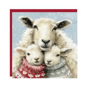 Christmas Cuddles Christmas Cards 48pk 1 19022026003934
