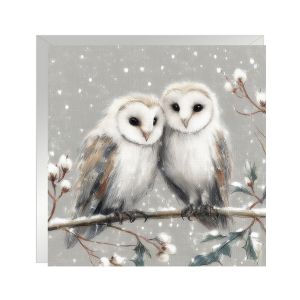 Twit Twoo Christmas Cards 48pk 1 19022026003911