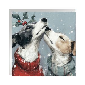 Pucker Up Christmas Cards 48pk 1 19022026003934