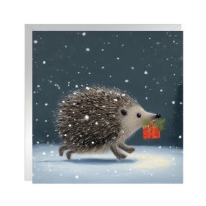Present for you Christmas Cards 48pk 1 19022026003848