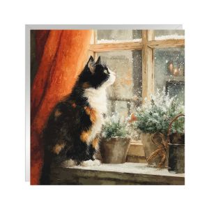 Whiskers in Winter Christmas Cards 48pk 1 19022026003826