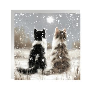 Snow Mates Christmas Cards 48pk 1 19022026003944