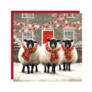 We Three Sheep Christmas Cards 48pk 1 19022026003945